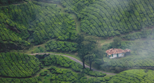 Kerala